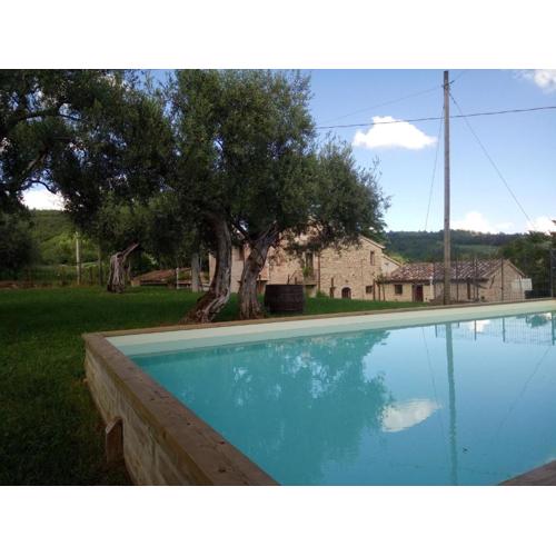 La Collina Con Gli Ulivi