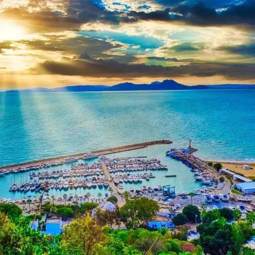 La deuxième perla sidi bou said