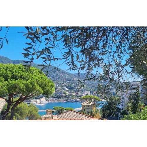 La Dolce Villa