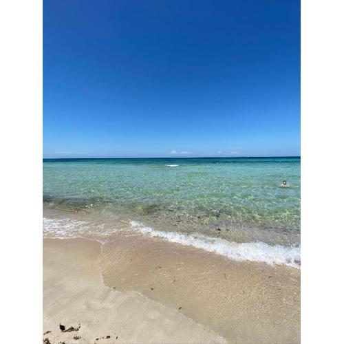 La Fenice sulla spiaggia