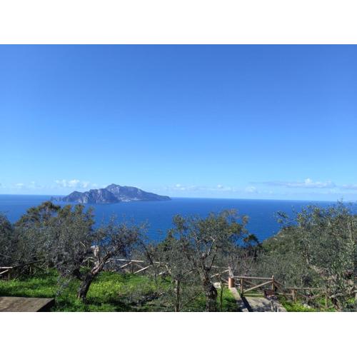 La finestra su Capri