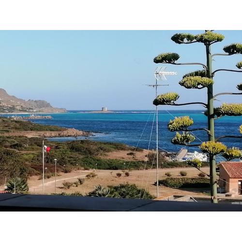 La Finestra sulla Torre