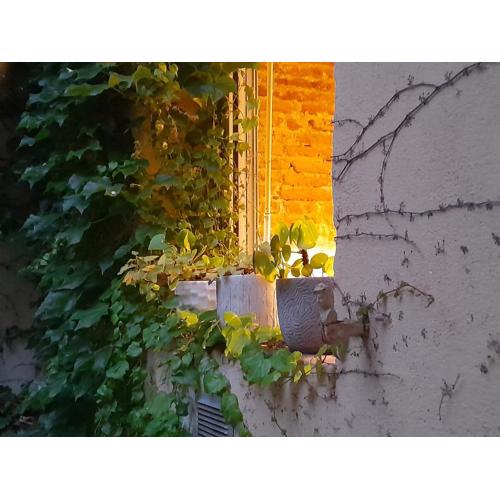 La Maison de Maila