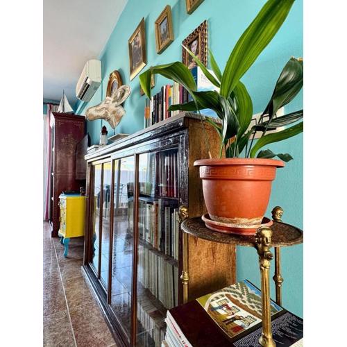 La Nave De Los Locos - Apartment