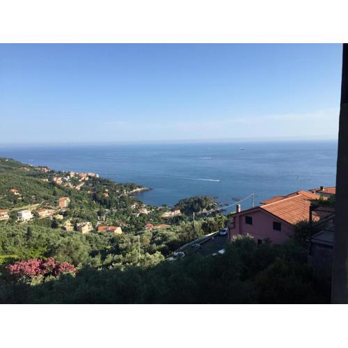 La Perla del Golfo