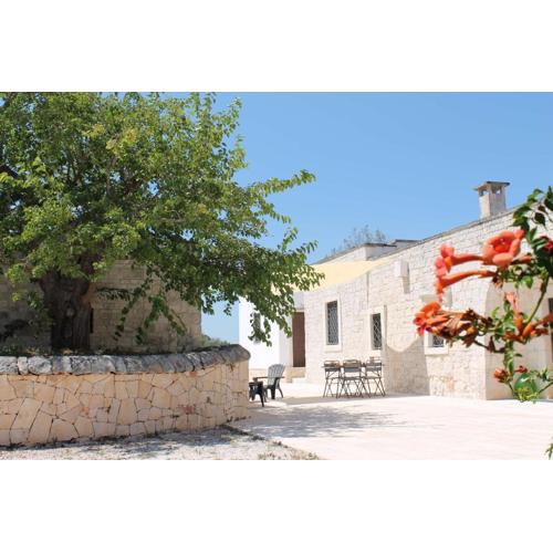 La pietra di Luca guest house