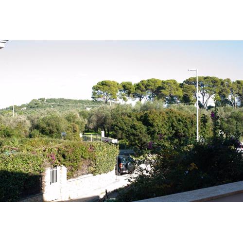 La Scaletta