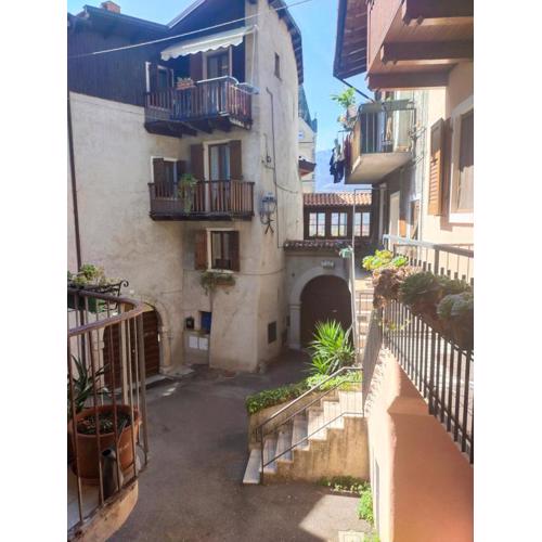 La tana dell\