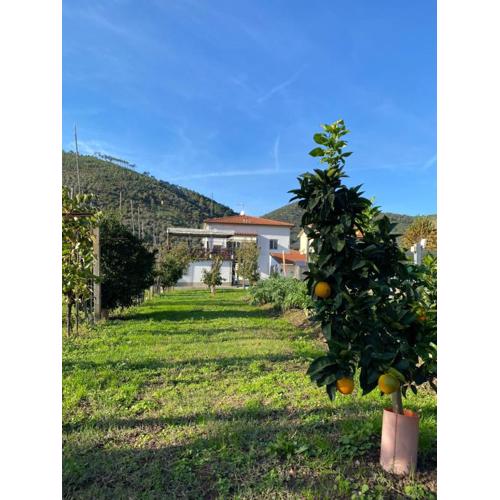 La tenuta di Eva