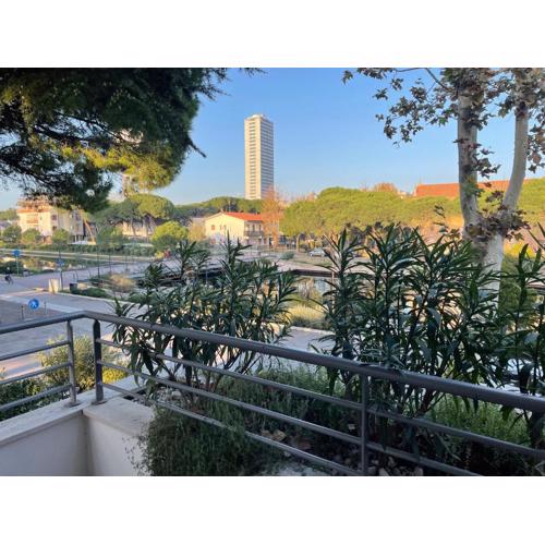 La terrazza dei delfini