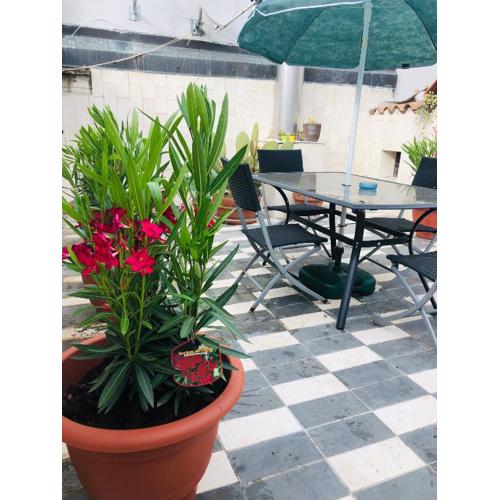 La Terrazza di Aida, appartamento con Terrazza nel Centro di Verona
