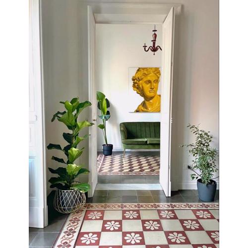 La Vite suite