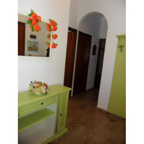 La zucca violina