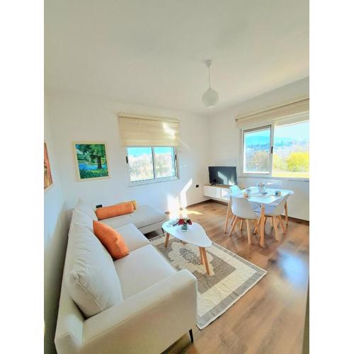 Lake Apartment