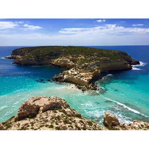 Lampedusa cala palme