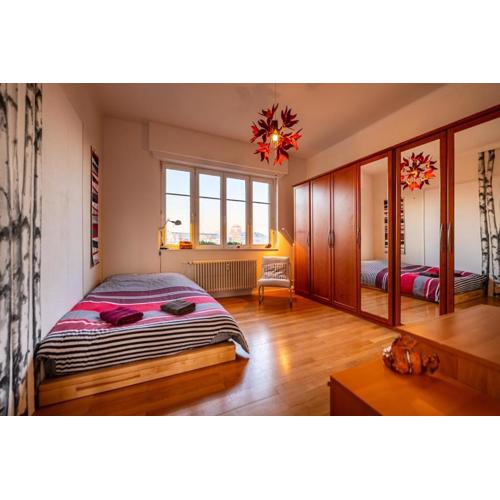 Large apartment in Strasbourg