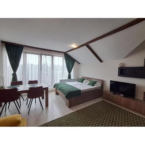 Large studio with view in Borovets Gardens