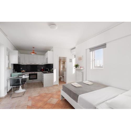 Large terrace studio
