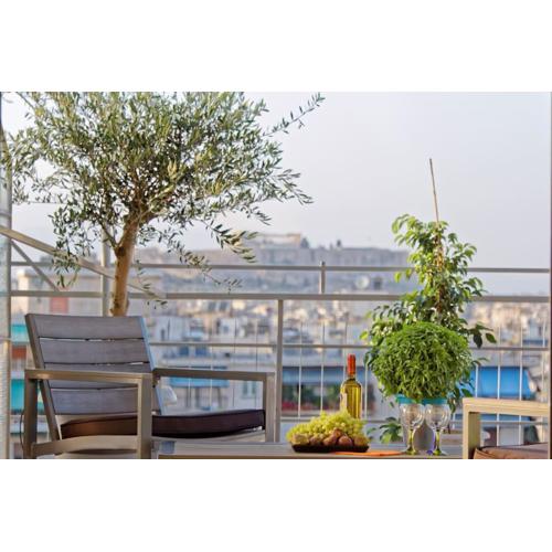 Large terrace with Acropolis of Athens view