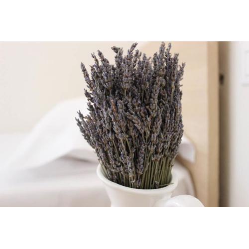 Lavandula Ring