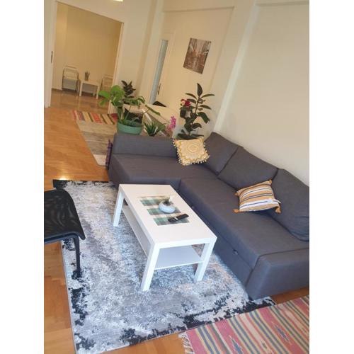 Lavender-Ryan spacious apartment for live and work in heart of Athens