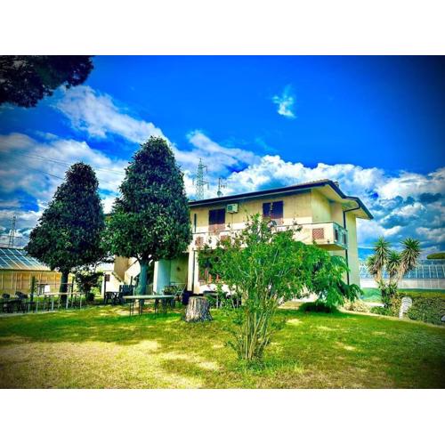 Le 2 Magnolie, Viareggio