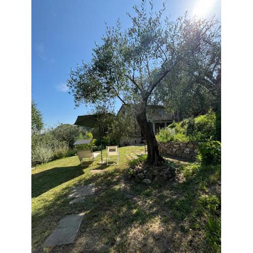 Le Capanne di Torre