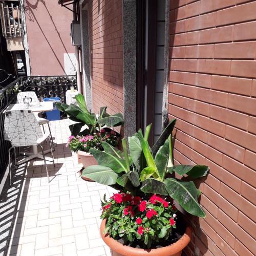 Le Case del Cortile