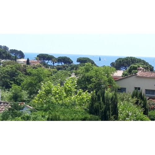 Le Gecko Sea View