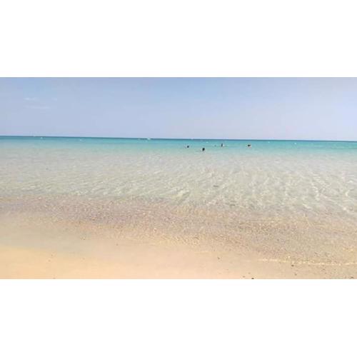 Le lagon de Hammamet