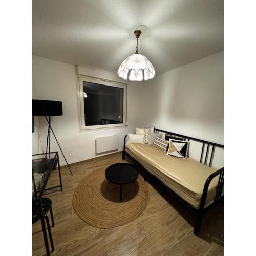 Le Sarsour Appartement Strasbourg Centre