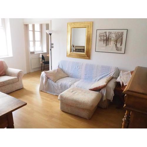 Le Tanneur, Appartement vintage hypercentre