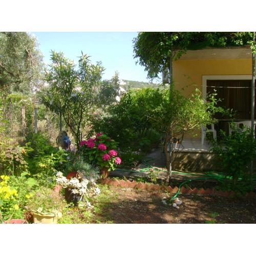 Lefkas house with garden