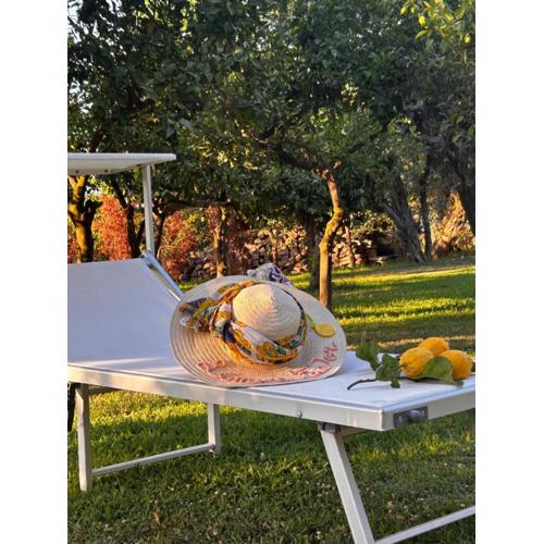 Lemon Factor Sorrento
