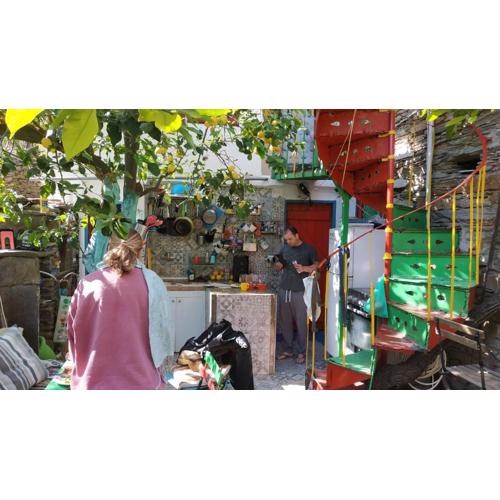 Lemon Tree House