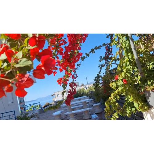 Leon Hotel Sarande