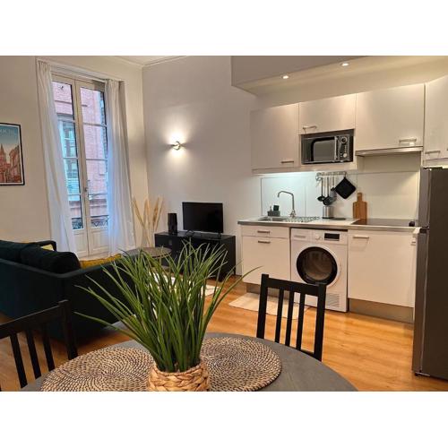 LES CARMES - Centre ville Toulouse