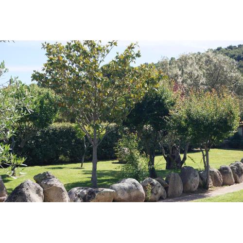 Les Jardins De Santa Giulia - Charmante chambre d\