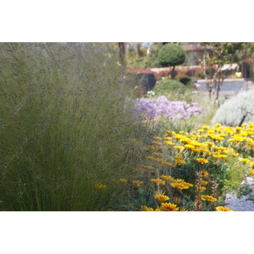 Les Jardins De Santa Giulia - Charmante chambre d\