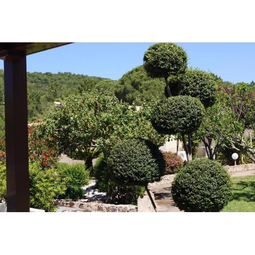 Les Jardins De Santa Giulia - Charmante chambre d\