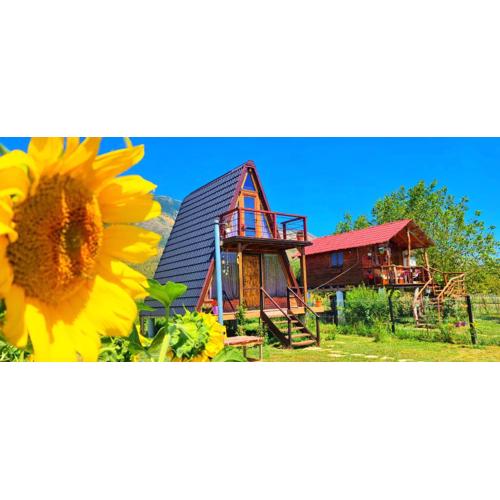 Life on the farm