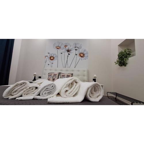 Lilly apartment