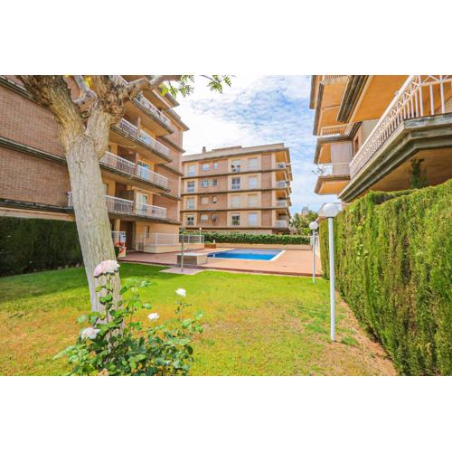 LITORAL COSTA DORADA - SALIX Only families