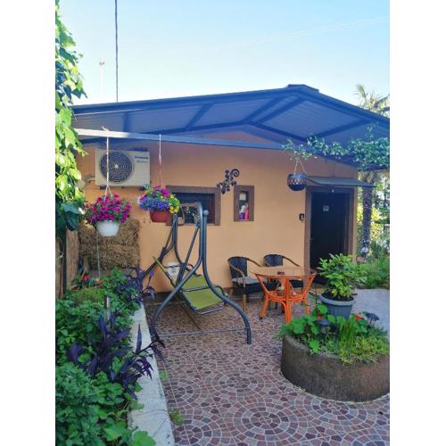Little garden house