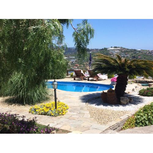 Little Paradise Apartment