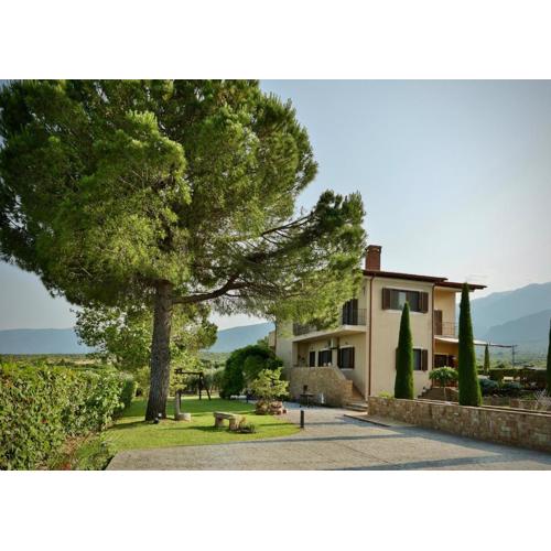 Οlives and Vines all seasons villa