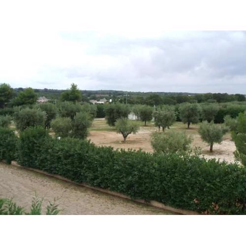 Locazione turistica Green Park