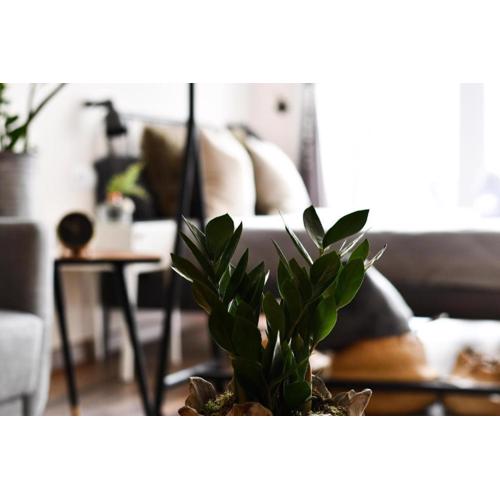 Loft by Celta Home