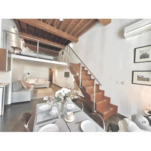 Loft Especeria centro