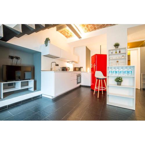 Loft Mazzini Torino centro